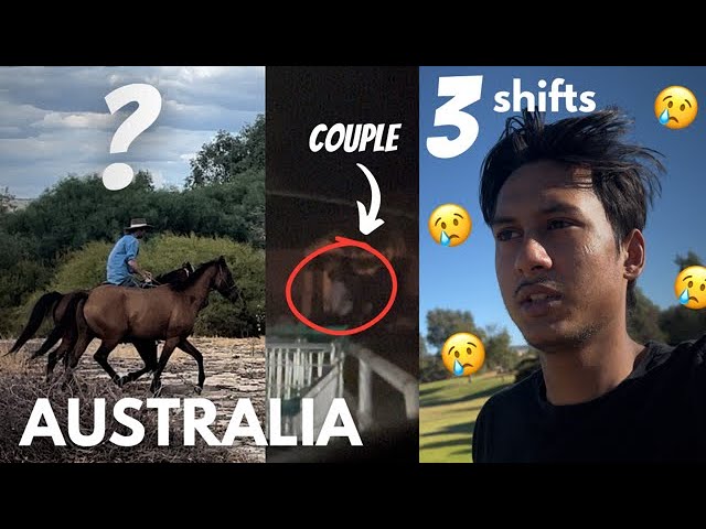 Couple Caught in Night | People Riding Horses | 3 Shifts Vlog | Indians in Australia