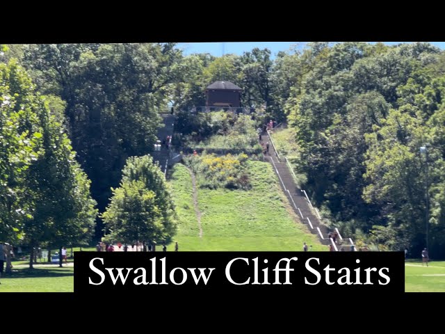 Extreme Stairs: The Swallow Cliff Challenge Palos Hills #Palos Hills #walking trail#stairs#trail