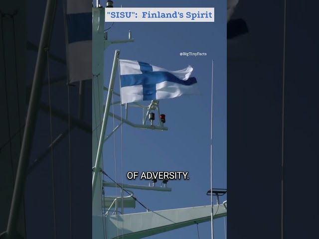 SISU': The Untranslatable Word That Carry Finland Spirit| F0095 #short #facts #sisu #finland