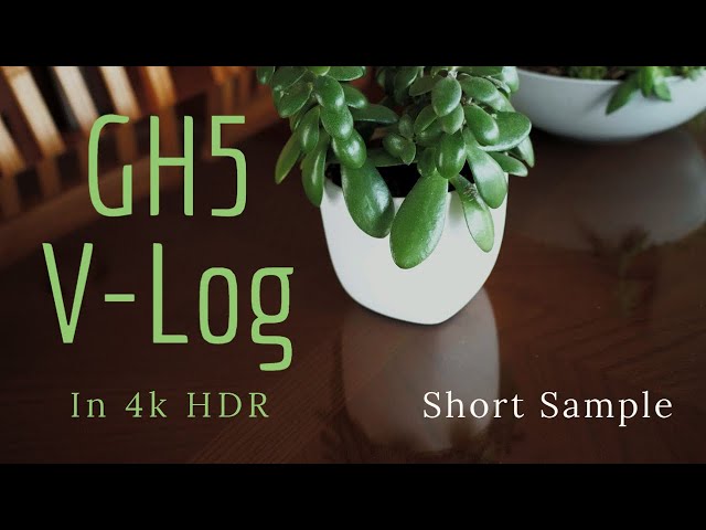 Lumix GH5 VLOG HDR 4k Short Sample