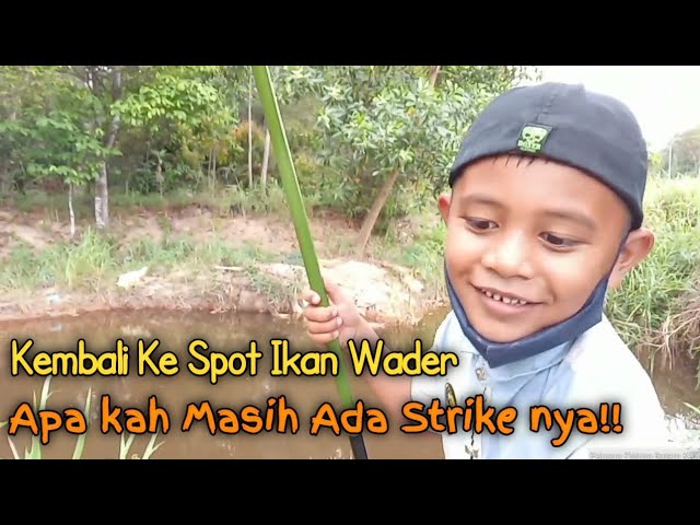 Kembali Ke Spot Ikan Wader|| Apa kah Masih Ada Strike nya