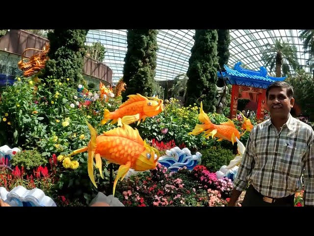 Singapore flower dome @alidaytour1044