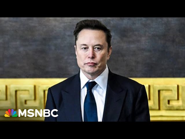 ‘What if he’s stealing money?’: Dem rep warns of Elon Musk’s access to Treasury