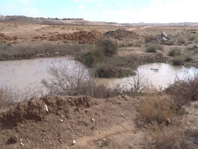 Winter in the Negev / חורף בנגב