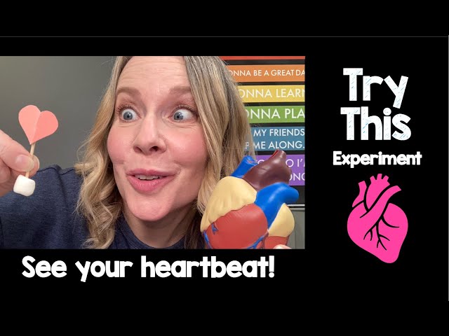 See Your Heartbeat #education #teacher #heart #visual #experiment