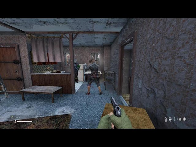 DayZ-guy spawned in on me and william