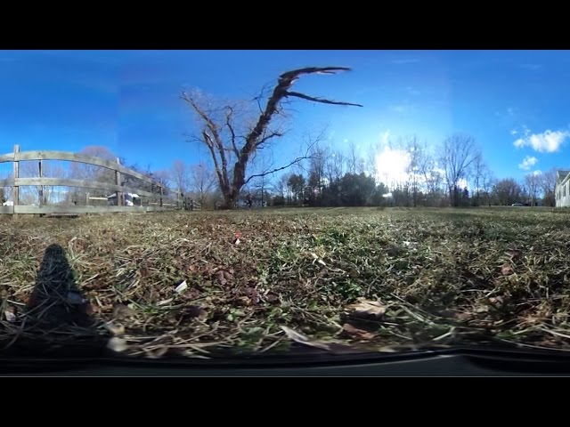 Tree hits camera - 360 degree video - Part 1