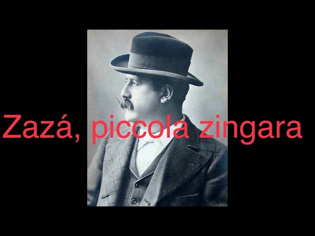 Zazà, piccola zingara - Andrei Mikulchyk