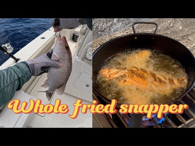 Best Whole Fried Snapper Recipe on the Internet!