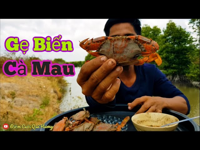 Đặc Sản Cà Mau" Gẹ Biển "| ĐIỂM CUỐI QUÊ HƯƠNG