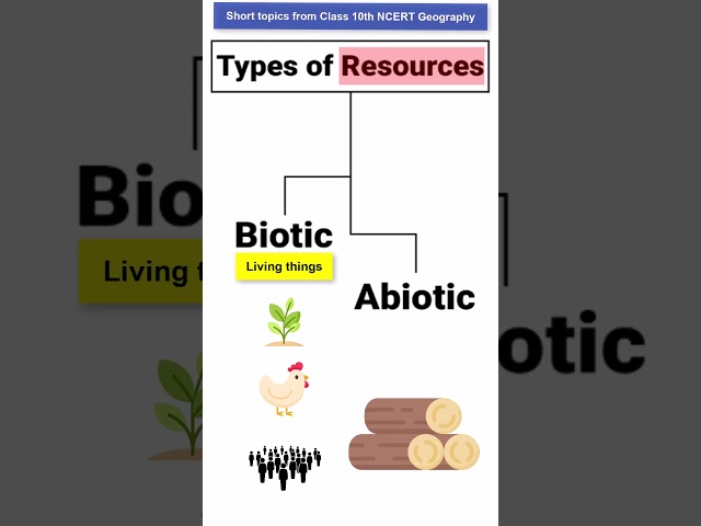 Types of resources - Biotic, Abiotic | Class 10 NCERT Geography