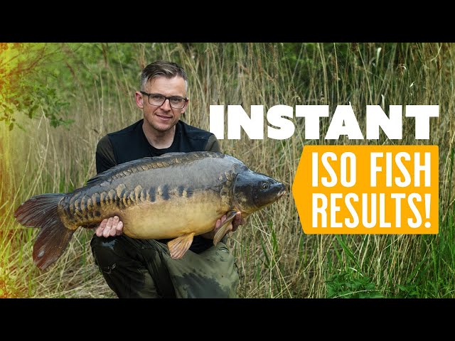 CARP FISHING Pro Neil Spooner Enjoys Instant ISO Fish Bait Success!