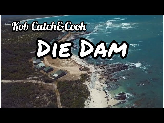 Fishing For KOB & STEENBRAS in Uilenkraal/Die Dam