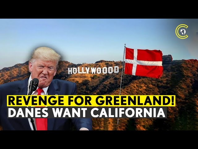 “We Will Buy California” Denmark Citizens File Petition To Mock Trump’s Greenland Dream | CLRCUT