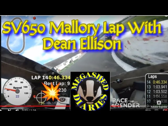 Mallory Park fast group SV650 minitwin lap with Dean Ellison 17Mar24