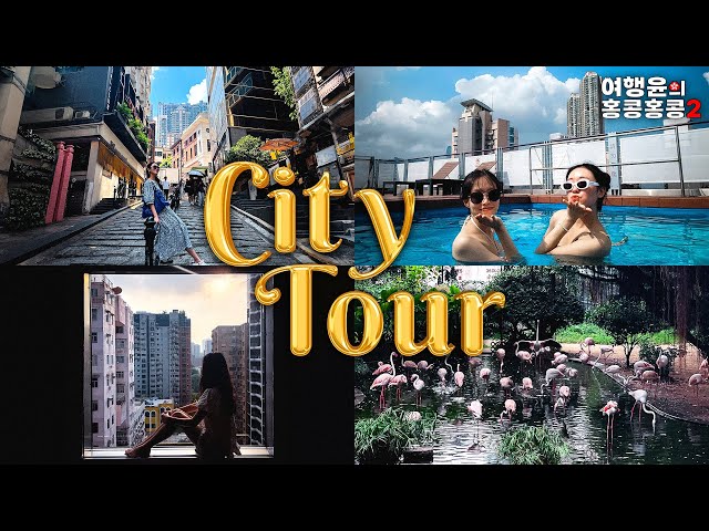 [sub] Hong Kong Travel Guide 2023 : Top 20 Attractions to Visit and Eat in 4 days | #hongkong