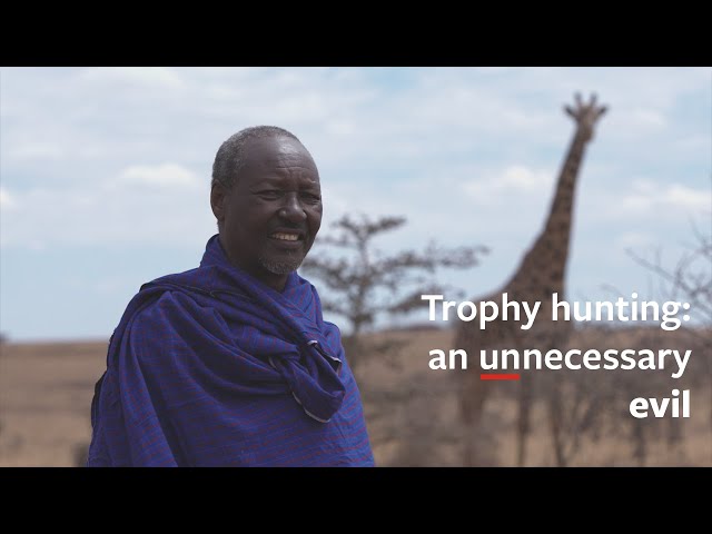 Trophy hunting: an unnecessary evil