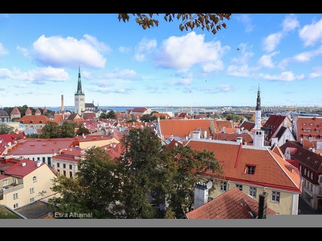 Things to do in Tallinn, Estonia