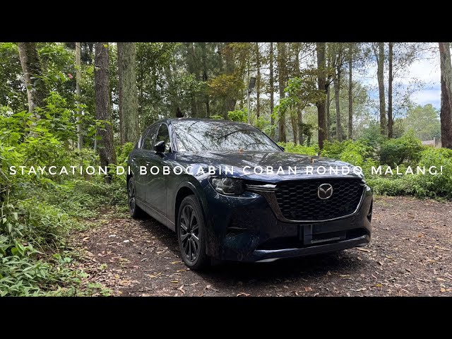 ROADTRIP KE BOBOCABIN COBAN RONDO MALANG JAWA TIMUR NAIK MAZDA CX60? STAYCATION DI TENGAH HUTAN!