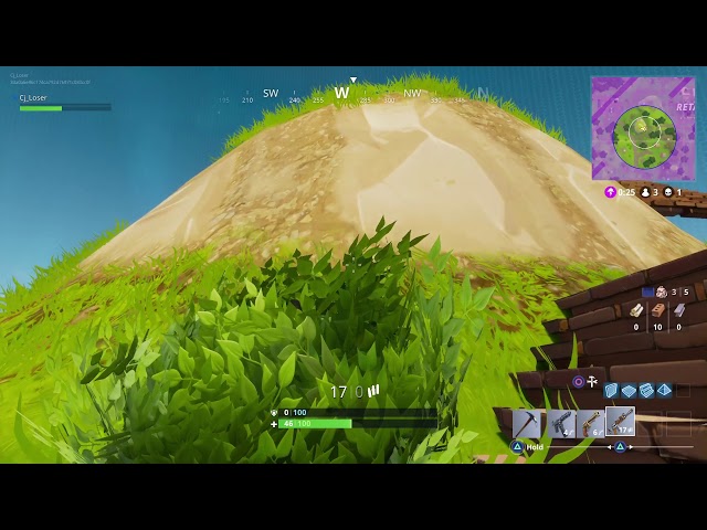 FortNite Battle Royale Bush Camping Win