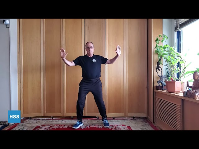 T'ai Chi for Arthritis: Movements for Beginners