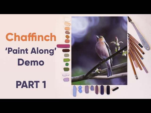 Chaffinch 'Paint Along' REAL TIME demo PART 1