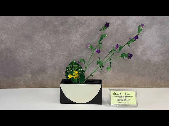 Ikebana: Steps Towards Spring (Practice Jiyūka)