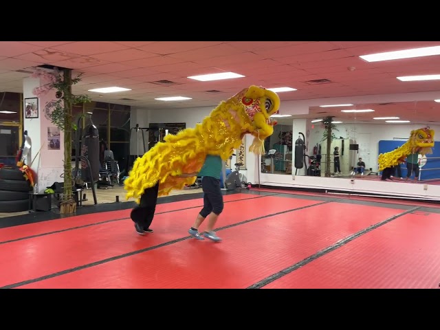 Lion dance routine sample #liondance #winwinstudio #kungfu #taichi #fitness #wellness