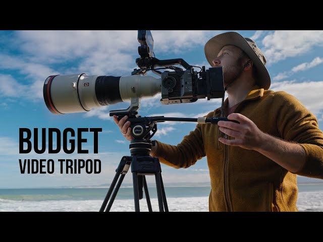 Best BUDGET TRIPOD for FILMMAKING - SmallRig FreeBlazer AD100 Review - CHEAP Video Tripod FluidHead