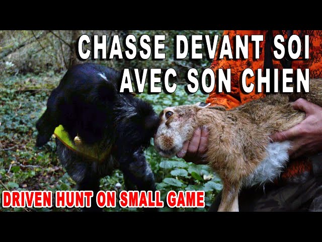 Driven hunt on small game near Paris