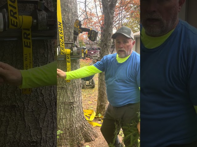 DIY GRCS. Arborist Rigging