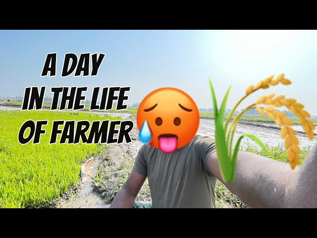 A day in the life of farmer FARMER LIFE 🌾