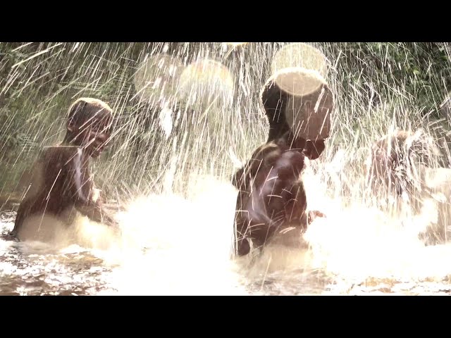 Water Drumming by Bayaka children (Enyelle, Congo)