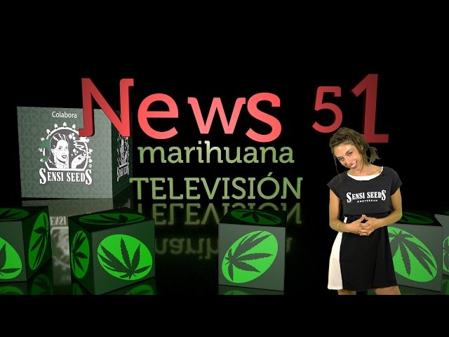 EXPOWEED México y ROTOTOM 2016 Marihuana Television News #51