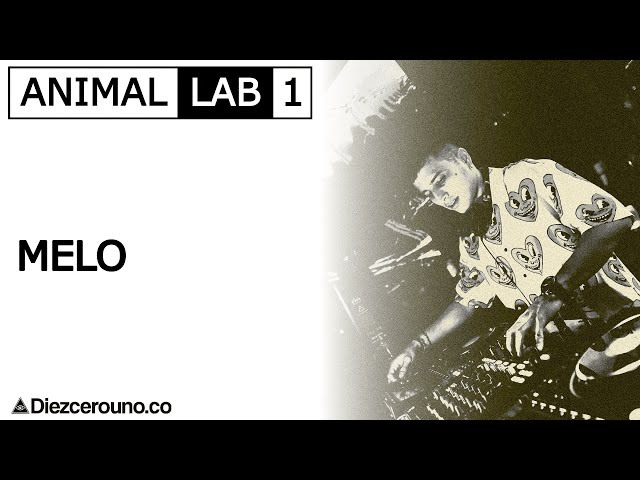 MELO ( DJ SET ) ANIMAL LAB 1