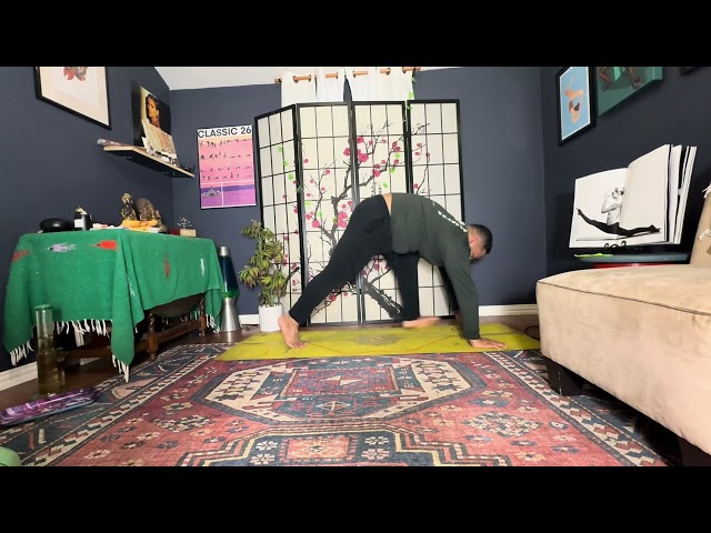 30 minute all level vinyasa ladder flow.