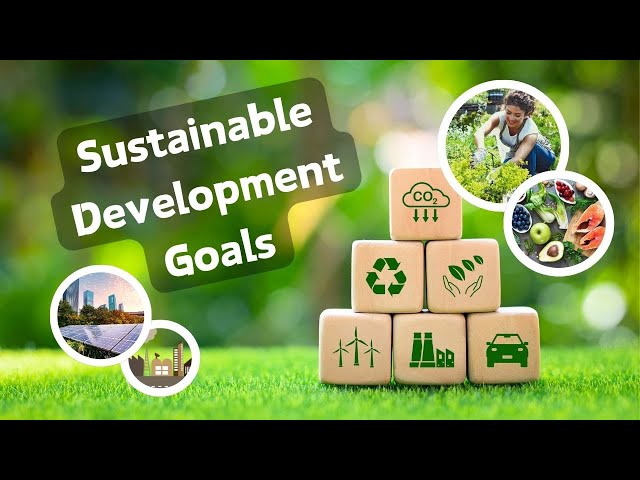 What are the Sustainable Development Goals?