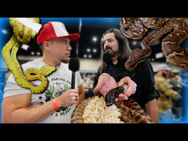 What REALLY HAPPENED in Kansas at the All American Reptile and Plant Expo