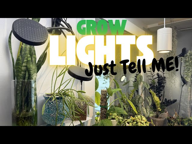 Grow Lights for indoor plants. Explained Simple. No Confusion. Plant Basics Series....Episode 1