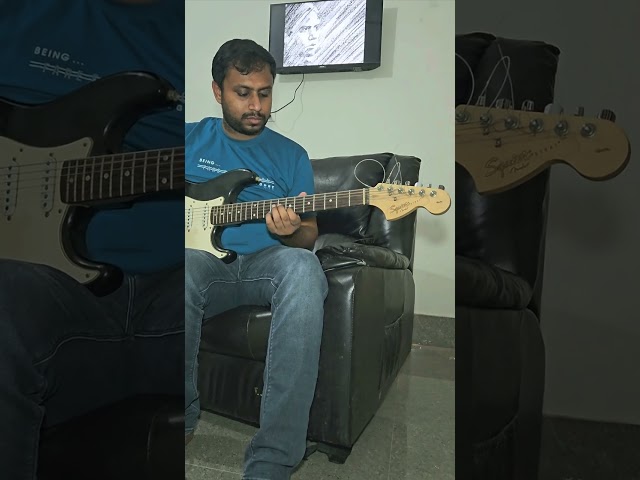 Dire Straits -Brothers in Arms Guitar Cover.