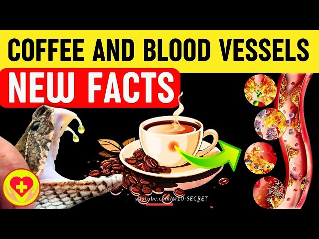 How Coffee Affects Blood Vessels? Who Can and Can't Drink Coffee?