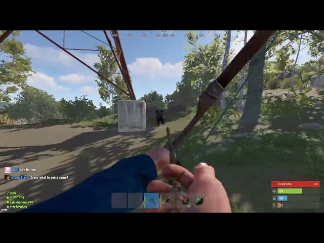 Rust - PVP Pig