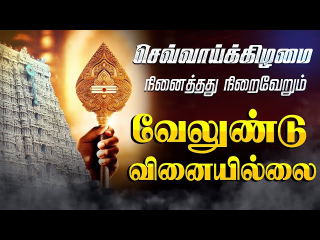 🔴LIVE SONGS | செவ்வாய்க்கிழமை கேட்க வேண்டிய வேலுண்டு வினையில்லை Murugan Song Tamil Murugan Songs