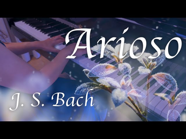 Bach - Arioso from Harpsichord Concerto No. 5 in F Minor, BWV 1056: II. Largo (Arr. Cortot)