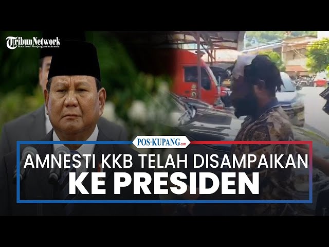 Usulan Amnesti Napi KKB Telah Disampaikan ke Presiden Prabowo