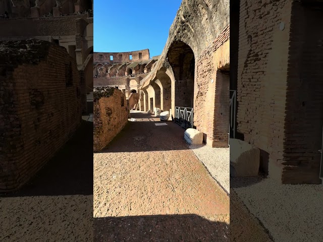 Inside the colosseum#ancientcity #romelife #travel #art #rome#historic #tourist