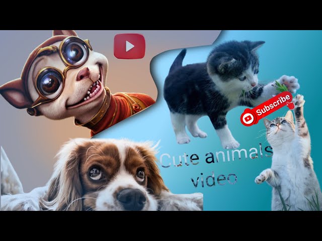 funny animal🐈 videos😂🤣🎉💥more comedy