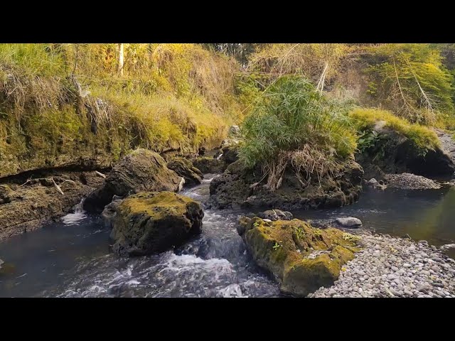 Beautiful River in the Mountains, No Birdsong with Babbling Brook, Sleep, Relax, Focus, ASMR