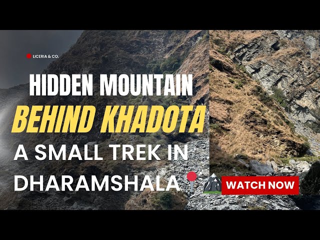 Small trek in Dharamshala l 2 km trek l Behind Khadota l #trek #dharamshala #himachalpradesh #travel