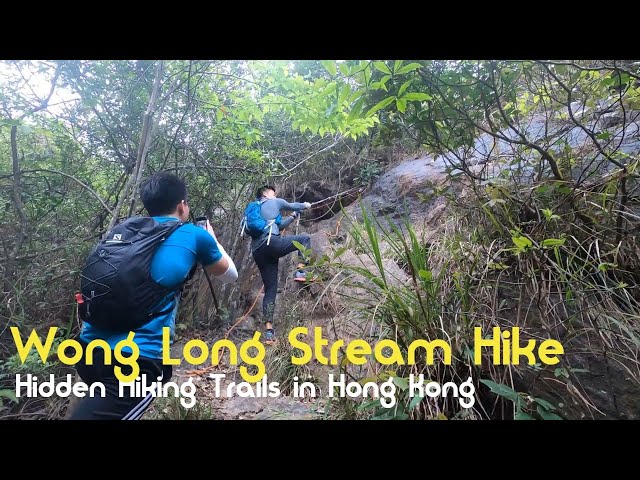 Hidden Hiking Trails | Wong Lung Hang Stream Hike